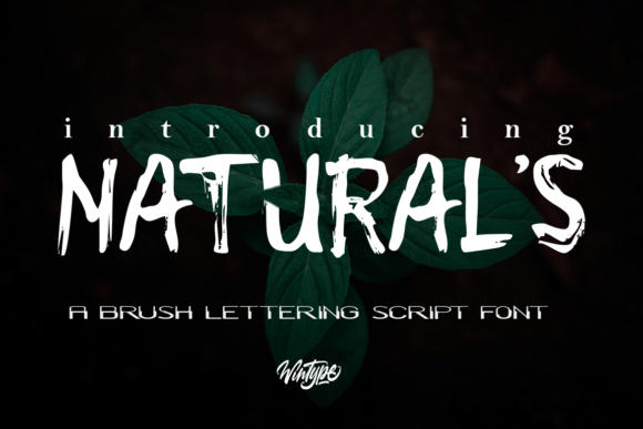 Natural s: The Urban Display Font for Scroll-Stopping Social Content