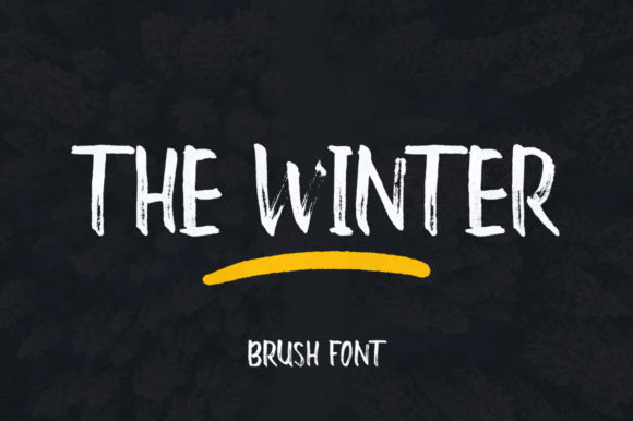 The Winter Font: A Versatile Display Type for Creative Projects